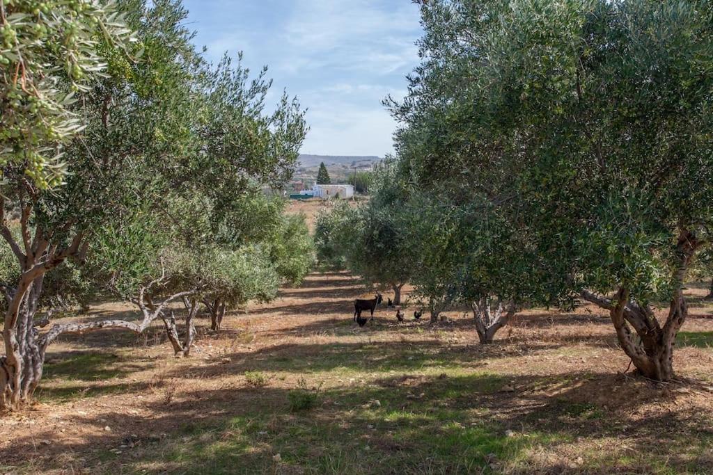 Olive Tree Farm 200M From The Beach Villa Episkopi-Chania Екстериор снимка