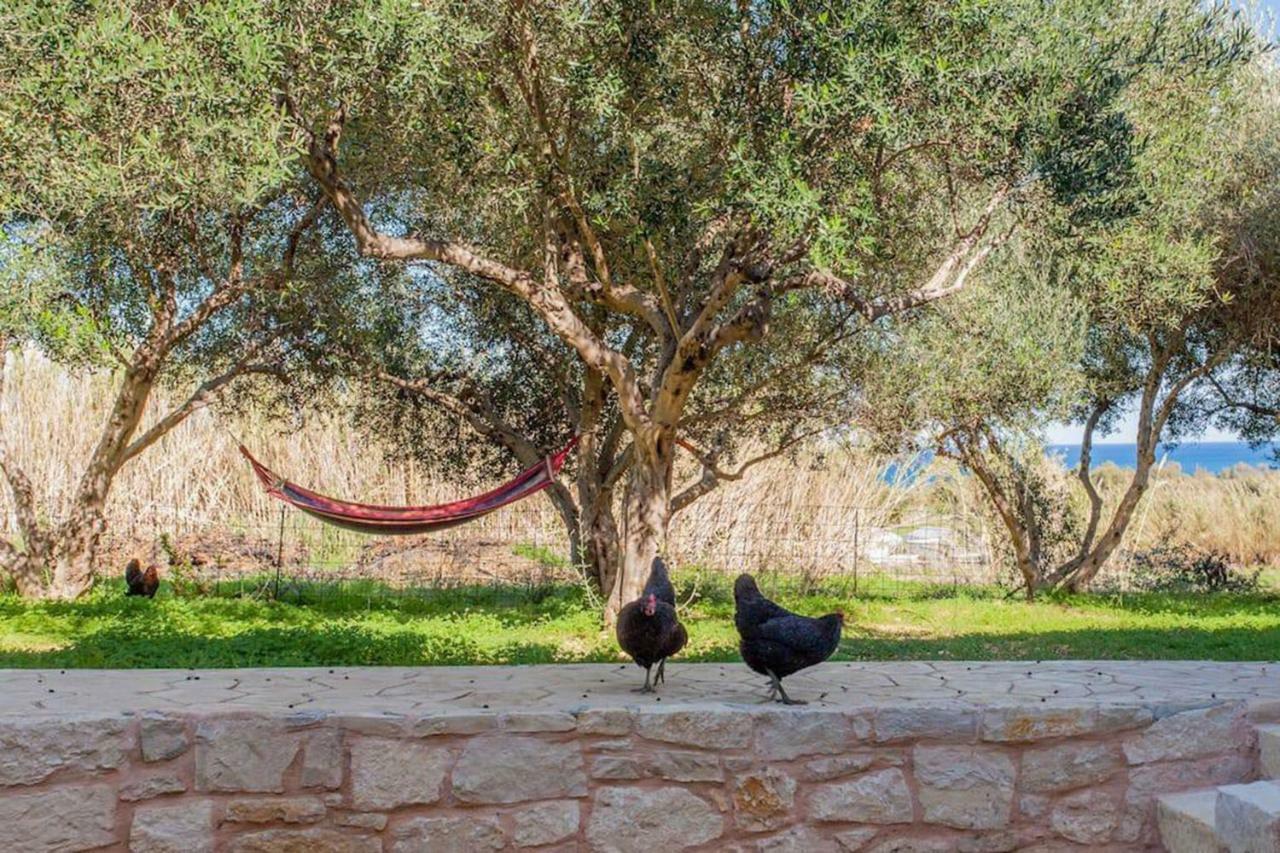 Olive Tree Farm 200M From The Beach Episkopi-Chania Екстериор снимка