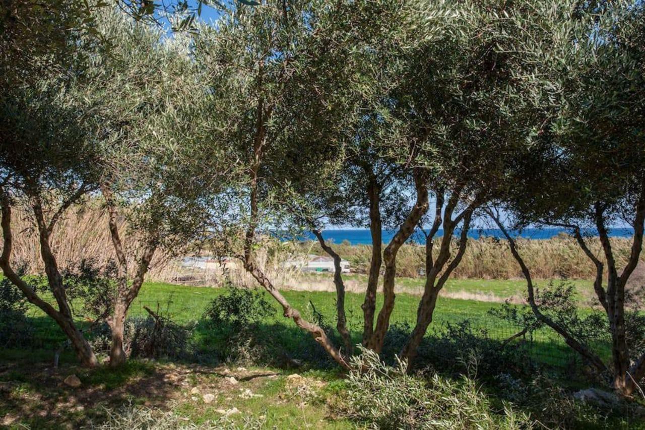 Olive Tree Farm 200M From The Beach Villa Episkopi-Chania Екстериор снимка