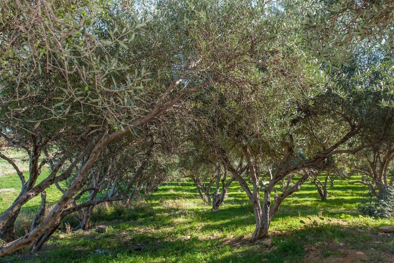 Olive Tree Farm 200M From The Beach Villa Episkopi-Chania Екстериор снимка