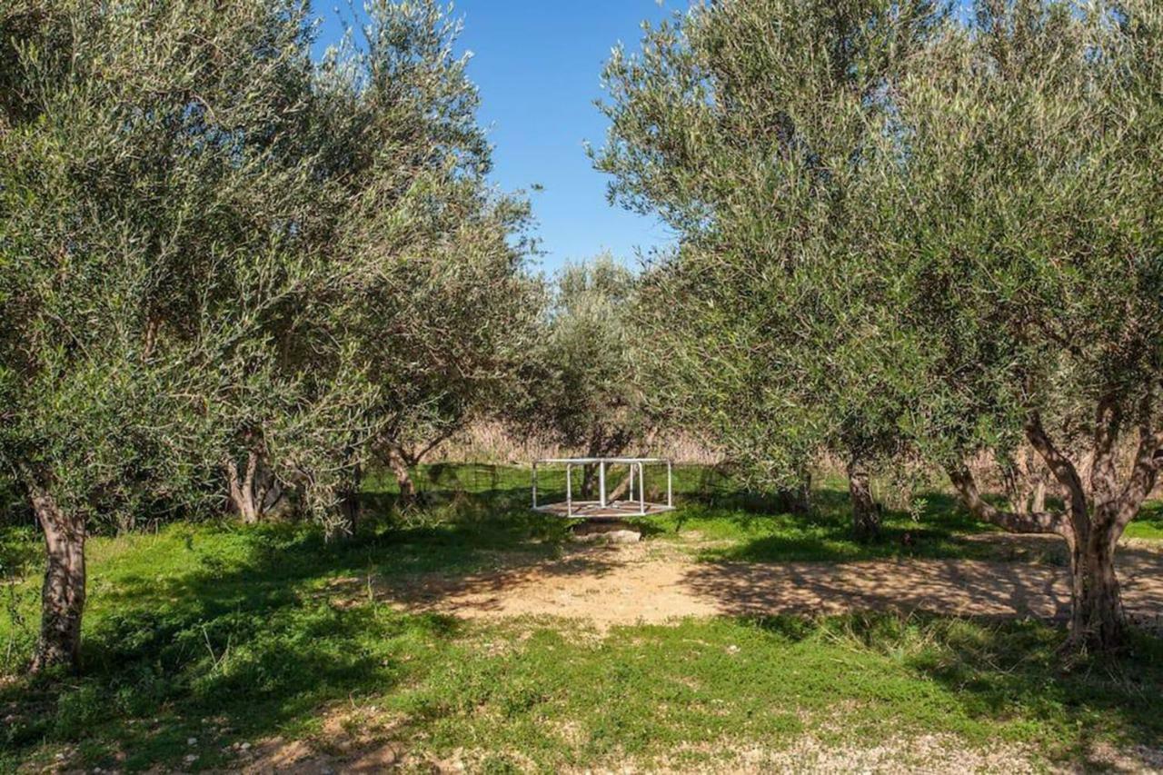 Olive Tree Farm 200M From The Beach Episkopi-Chania Екстериор снимка