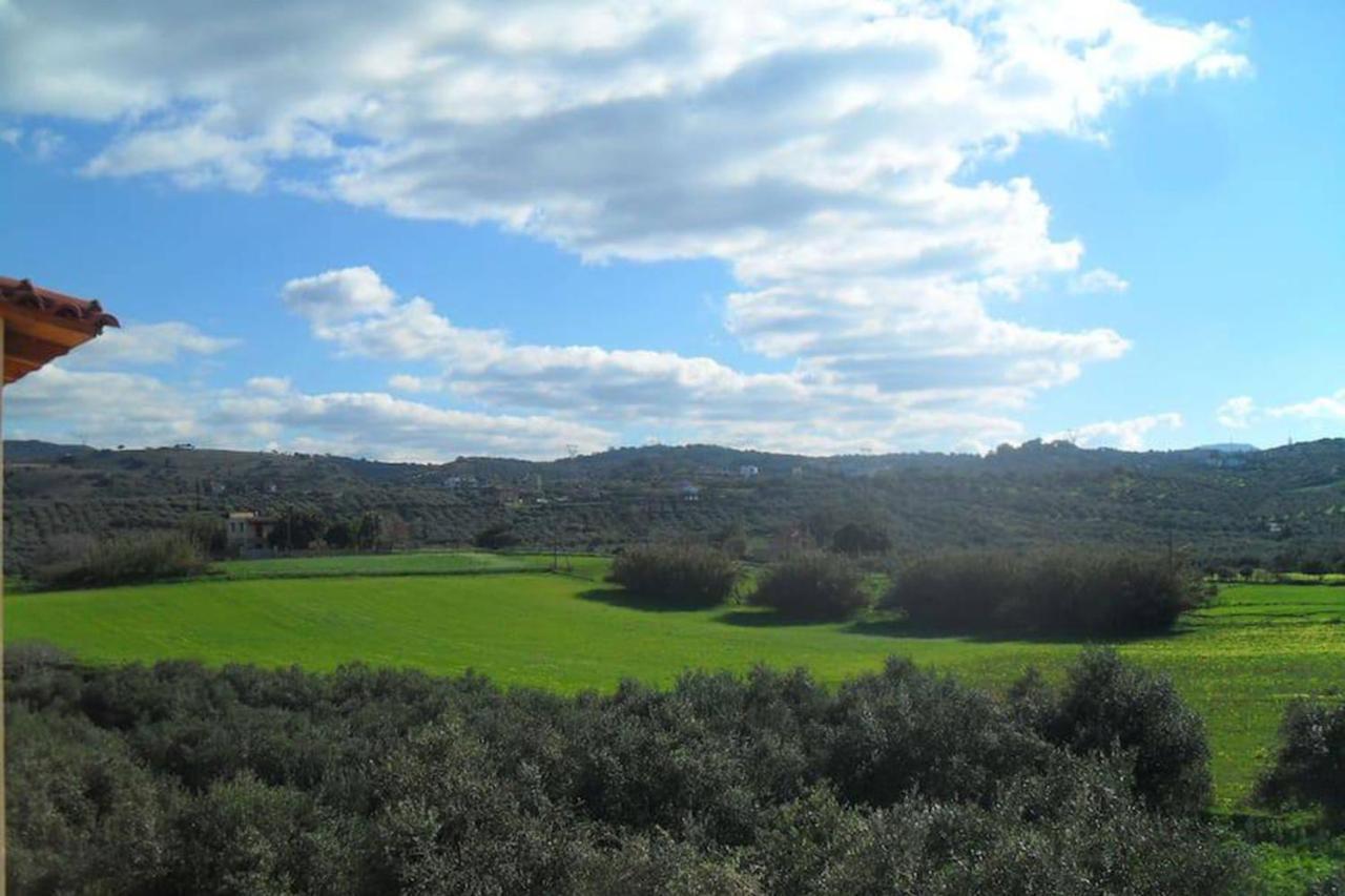 Olive Tree Farm 200M From The Beach Episkopi-Chania Екстериор снимка