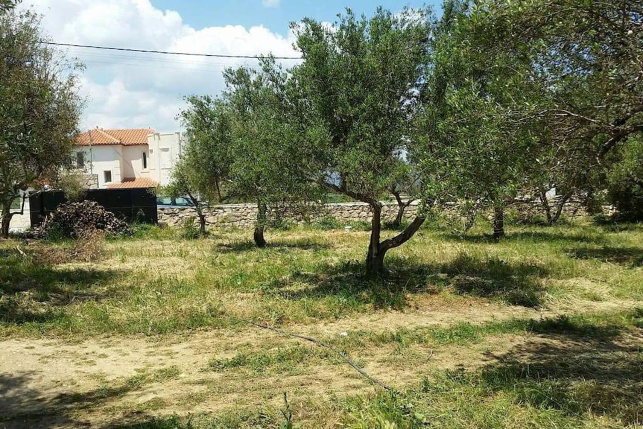 Olive Tree Farm 200M From The Beach Villa Episkopi-Chania Екстериор снимка