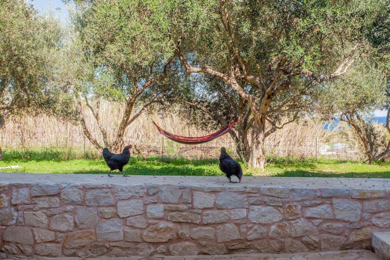 Olive Tree Farm 200M From The Beach Villa Episkopi-Chania Екстериор снимка